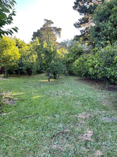 Imagen 9 de 30 de Casa Quinta Sobre Lote De 5.000 M2 La Gloria De La Peregrina