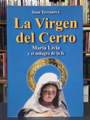 La Virgen Del Cerro - Juan Terranova - Sudamericana
