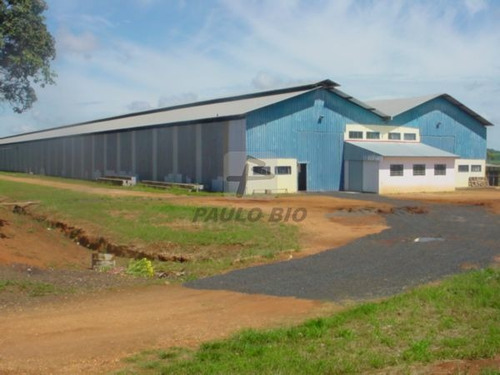 Imagem 4 de 4 de Galpao Industrial - Distrito Industrial - Ref: 3542 - L-3542