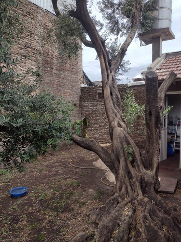 Imagen 6 de 14 de Venta - Vivienda Multifamiliar - Necochea Al 1500 - Villa Lynch.