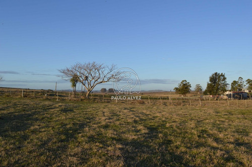 Imagen 9 de 16 de Chacras-venta-piriapolis-ch059
