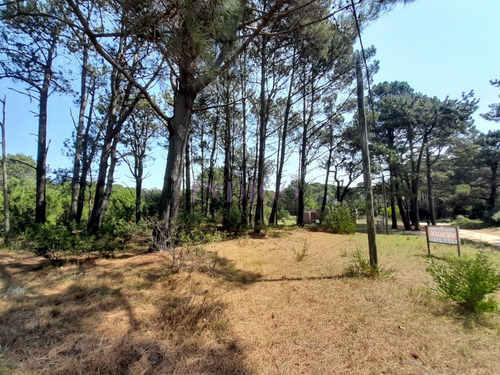 Imagen 6 de 12 de Venta De Lote En Barra Verde, La Barra, Uruguay - La Barra Barra Verde