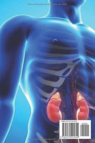 Dieta Para Las Personas Con Insuficiencia Renal Y.., De Saludable, Más. Editorial Independently Published En Español