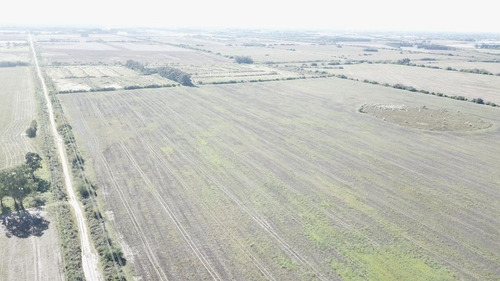Imagen 4 de 11 de Terreno - Zarate