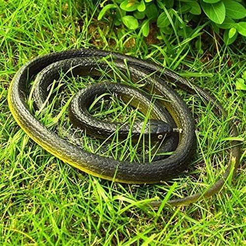 Broma De Serpiente Con Clip De Cuerda, Broma De Serpiente