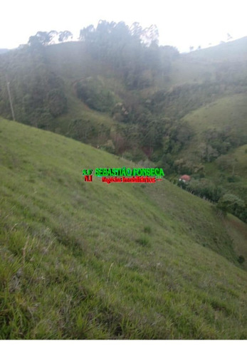 Imagem 7 de 15 de Belo Sítio Em Marmelópolis - Mg - 1247