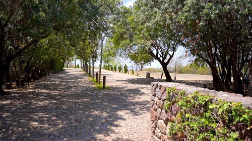 Terreno En Venta En San Miguel De Allende | Exclusividad Y Naturaleza
