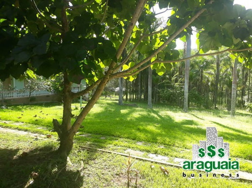 Imagem 11 de 16 de Rural Chacara Com 3 Quartos - 171020-v