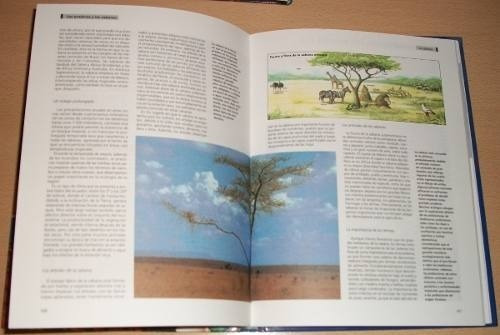 Enciclopedia Ciencias Naturales / Ecología Y Medio. Amb. 3t