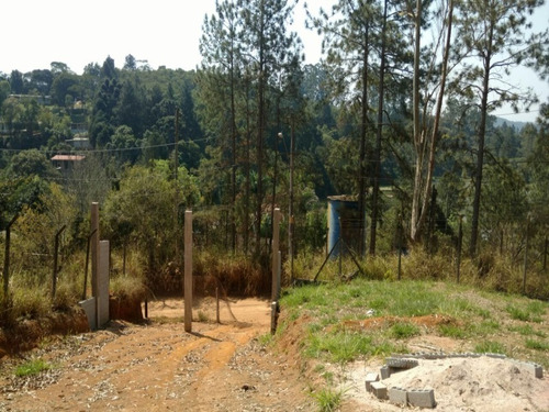 Imagem 6 de 16 de Terreno A Venda No Itaquaciara/mombaça - Te00009 - 32420434