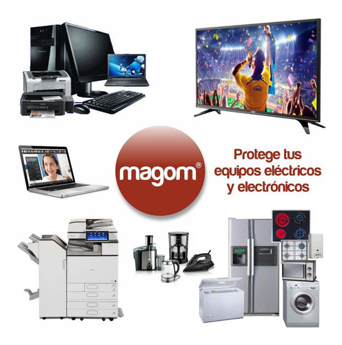 Regulador Electrónico De Voltaje Magom Ev-3000 A 110 V