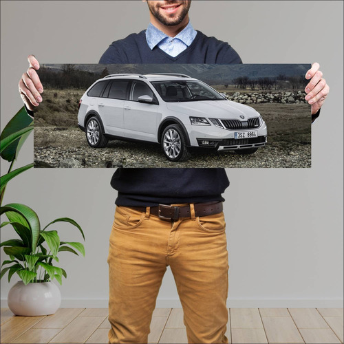 Cuadro 30x80cm Auto 2017 Skoda Octavia Scout 598 322