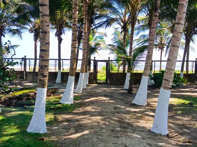 Hotel y resort en venta