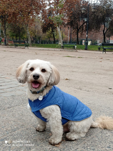 Parka Ropa Para Perros Reversible Huesito Talla 3xl Pethome