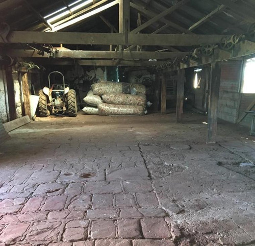 Fazenda Com 11.059 Hectares Em Paysandú - Uruguai