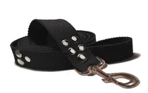 Comprar Correa Perros 3 Metros Larga Extra Reforzada 3 Mts X 3 Cm Mosquetón Grande Seguridad Paseo Adiestramiento Juego Envios