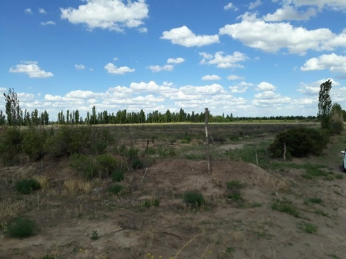 Imagen 12 de 14 de Finca En Las Paredes - 10 Hectareas 1º Regante