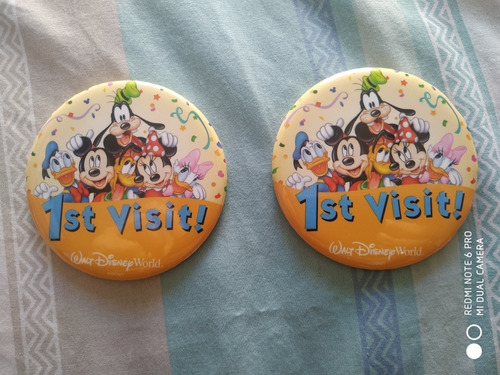 Lote De 2 Pins Walt Disney World