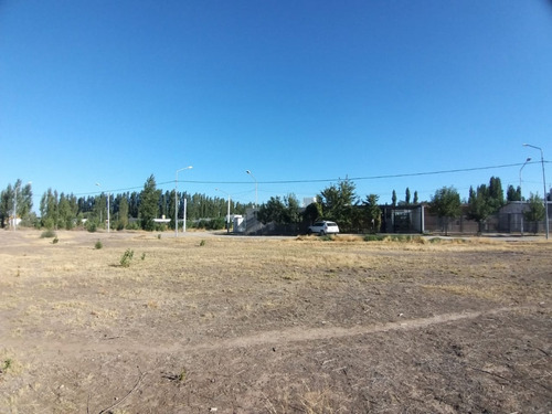 Imagen 4 de 6 de Terreno 250 M² Barrio Confluencia Rural Loteo Los Cardenales