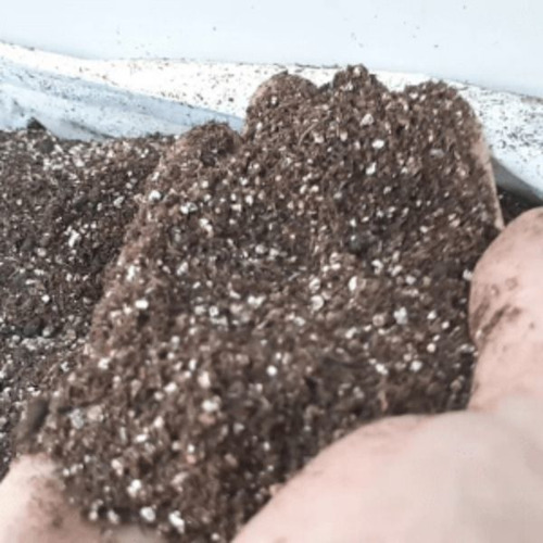 Sustrato para suculentas y cactus, 1 kg de humus/perlita/sílice