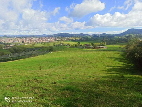 Imagen 3 de 8 de Finca En La Unión 3 Cuadras 1 Kilómetro Pueblo 900 Mill