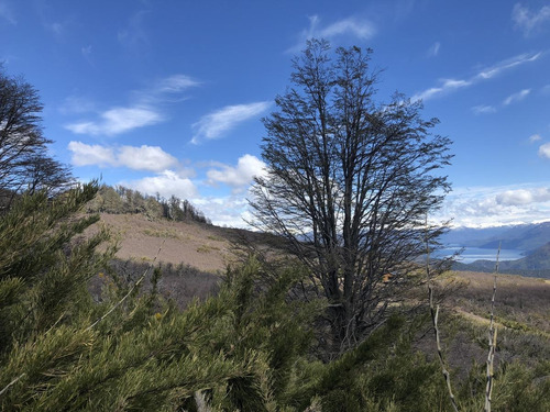 Imagen 13 de 17 de En Venta Terreno En Valle Escondido 4000 M2- San Martin De Los Andes