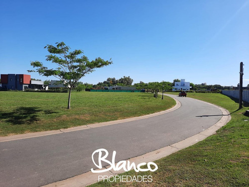 Imagen 5 de 11 de Excelente Lote Interno Dentro Del Barrio San Matías
