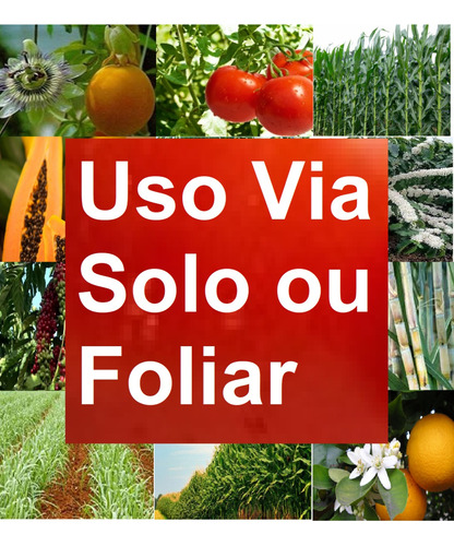 Npk 10-30-20 Floração Frutos Sais Hidrossoluvel Rende 200 Lt