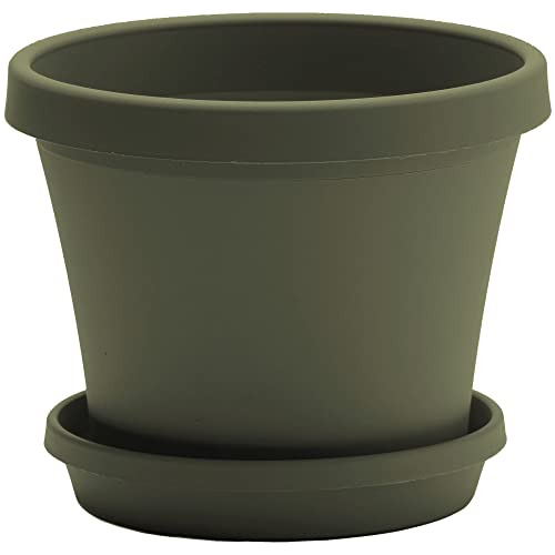 Maceta Terrapot Fiskars 50412, Verde Tomillo, 12 Pulgad...