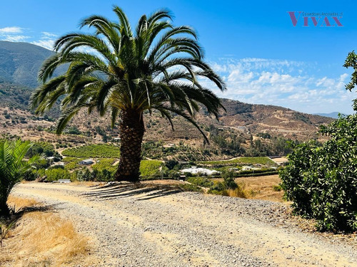 Agrícola En Quillota