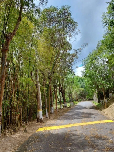 Imagen 16 de 21 de Terrenos En Venta San Antonio De Los Altos Urb San Gabriel