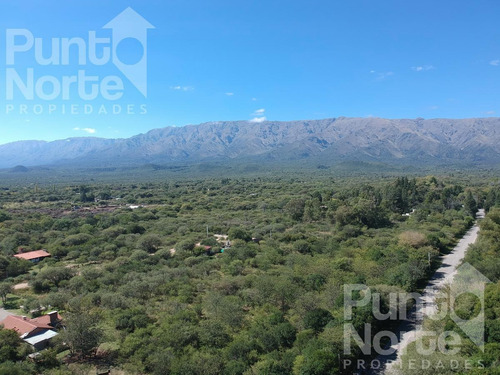 Imagen 6 de 16 de Terreno - Piedra Blanca Abajo