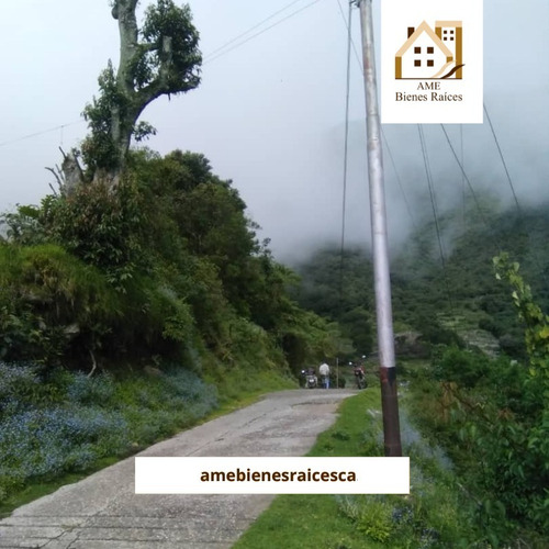 Imagen 10 de 10 de Finca En Alto De Mucuyupu, Timotes Piñango (la Laja)