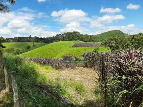 Imagem 6 de 11 de Lindo Sítio À Venda Em Salesópolis - Sp, 248000 M² Por R$ 1.800.000,00 - Ch0477