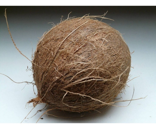 Imagen 7 de 10 de Fibra De Coco Juani Juana 25l 100% Coco Cogoshop Grow