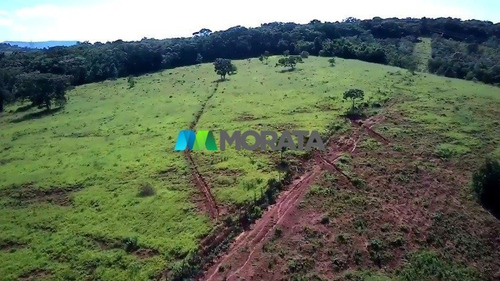 Imagem 13 de 15 de Fazenda - Zona Rural - Ref: 5459 - V-mta5459