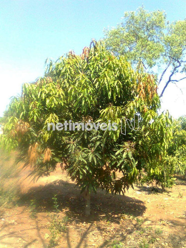 Imagem 16 de 29 de Venda Chácara Zona Rural Conceição Do Pará - 875793