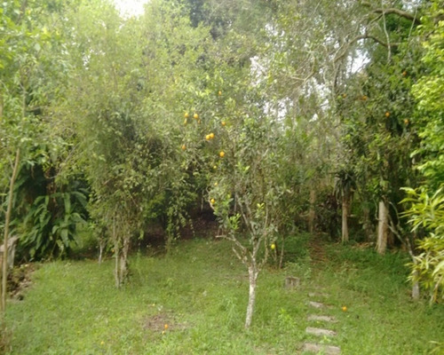 Imagem 9 de 26 de Chácara À Venda Em Juquitiba. - 315 - 32982813