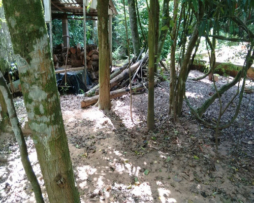 Chácara 1.500 M² - Palermo - Gravataí - Rs - 1083 - 32419604