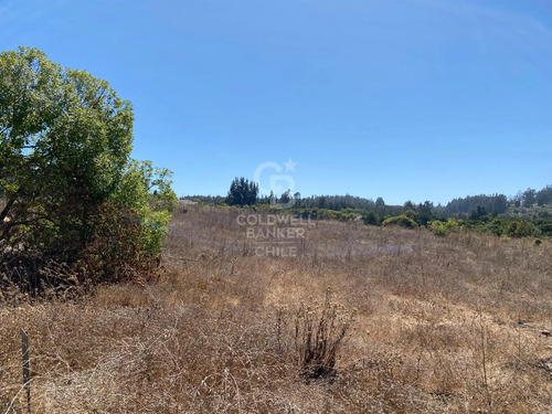 Bosques De Monte Sagrado Sitio Llegar Y Construir