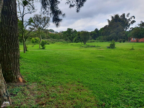Imagem 13 de 15 de Área Para Venda Em Ribeirão Pires, Vila Luzitania - 431_1-2185964