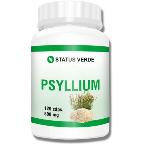 Psyllium Puro Intestino Saudável 120 Cáps - Status Verde