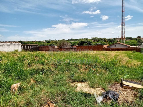 Imagem 9 de 10 de Terrenos - Ref: V12870