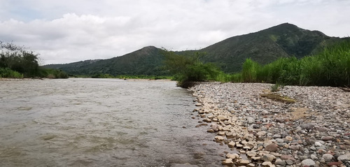 Imagen 16 de 30 de Se Vende Finca Barata Para Ganadería, Agricultura, Piscicultura, Porcicultura, Turismo, Vacacional Para Un Descanso Total Con Mucha Seguridad Y Sin Grupos Al Margen De La Ley. Tierras Productivas