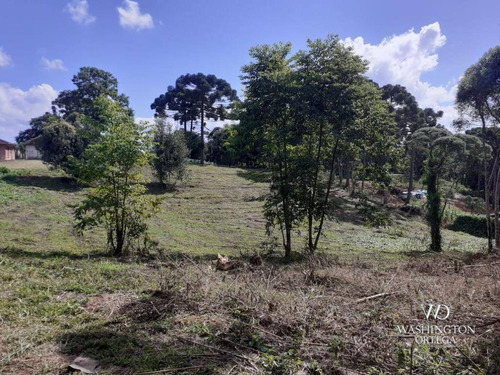 Imagem 1 de 14 de Chácara À Venda, 34000 M² Por R$ 1.900.000,00 - Colônia Murici - São José Dos Pinhais/pr - Ch0061