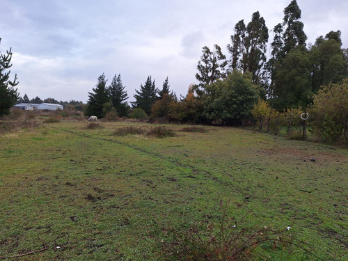 Nuevo Parque Empresarial Los Quillayes