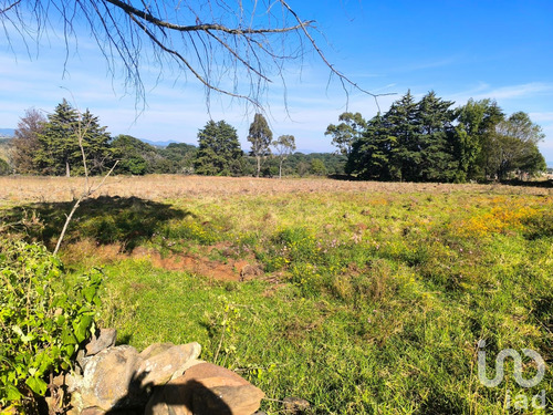 Venta Terreno 0 Ambiente La Mora