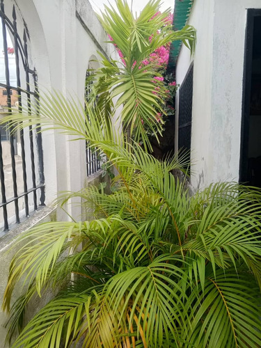 Casa En Venta Urb. Bello Monte.palo Negro. Edo Aragua