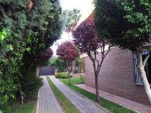 Imagen 8 de 10 de Jardinería, Mantenimiento De Espacios Verdes