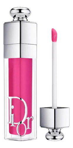 Lip Oil Dior Addict Lip Maximizer Gloss Hidratante Original